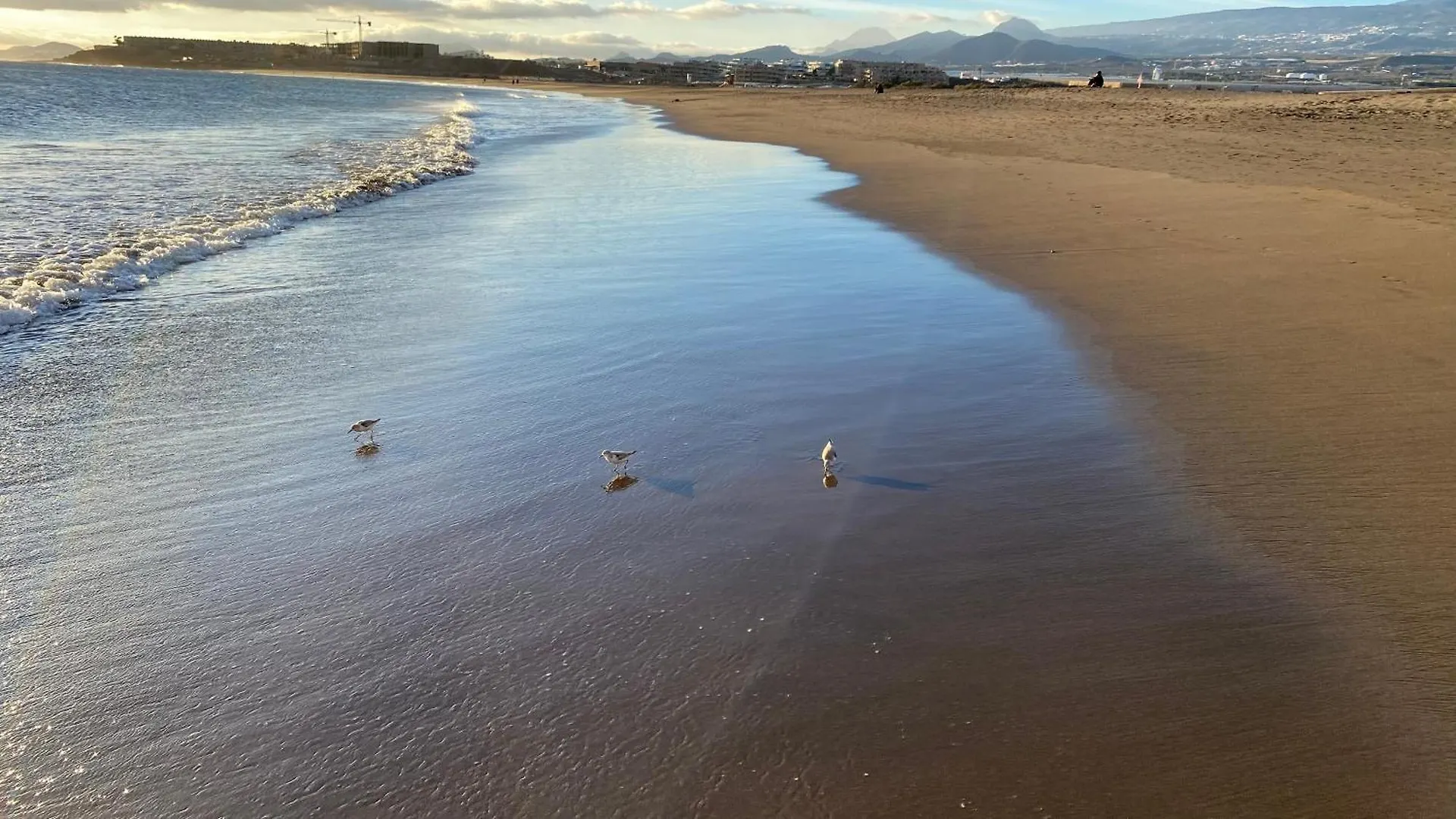 דירות גרנדילה דה אבונה Playa La Tejita,Atico De Proa